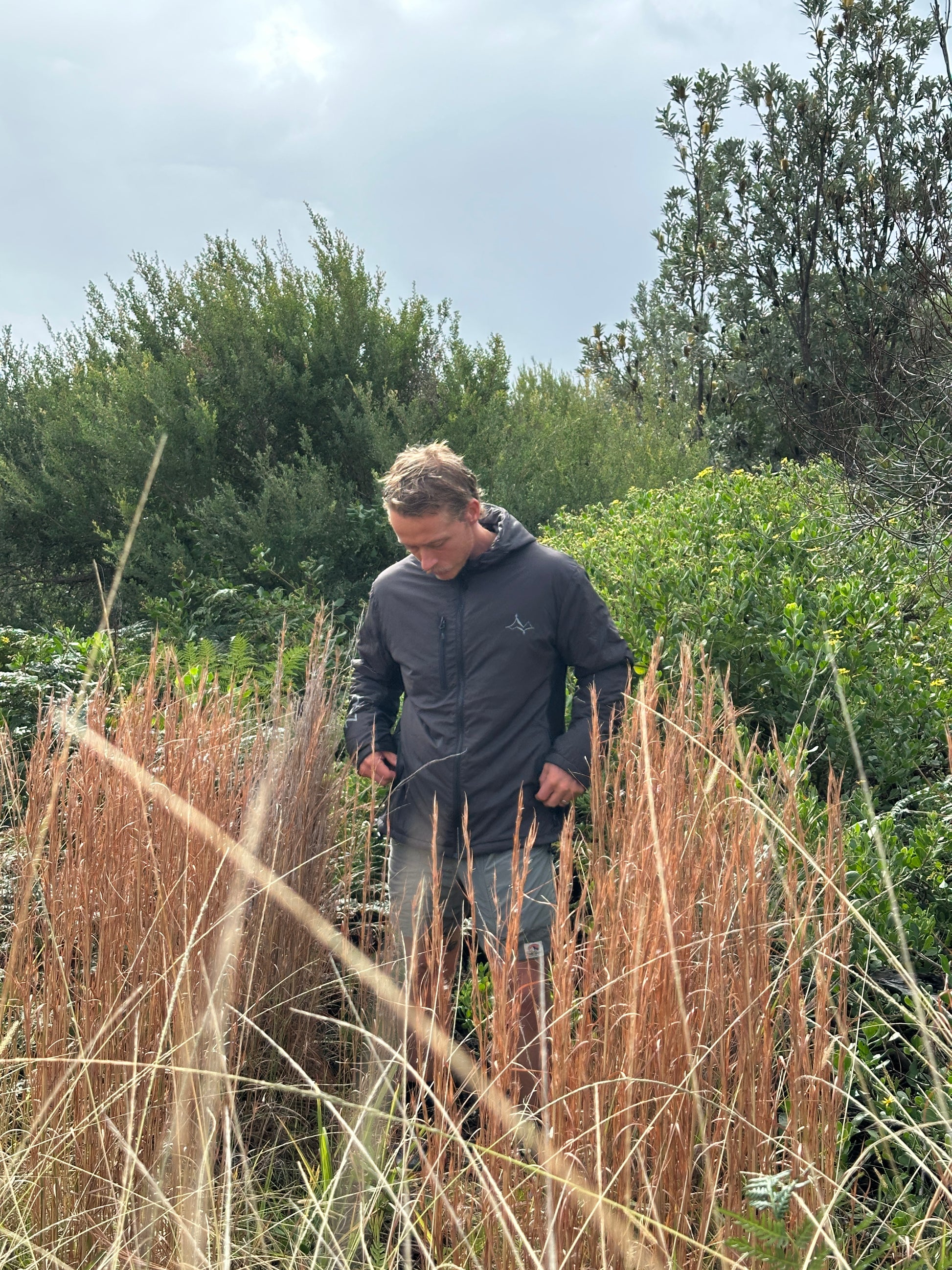 Person standing among tall grass and trees on a sunny day